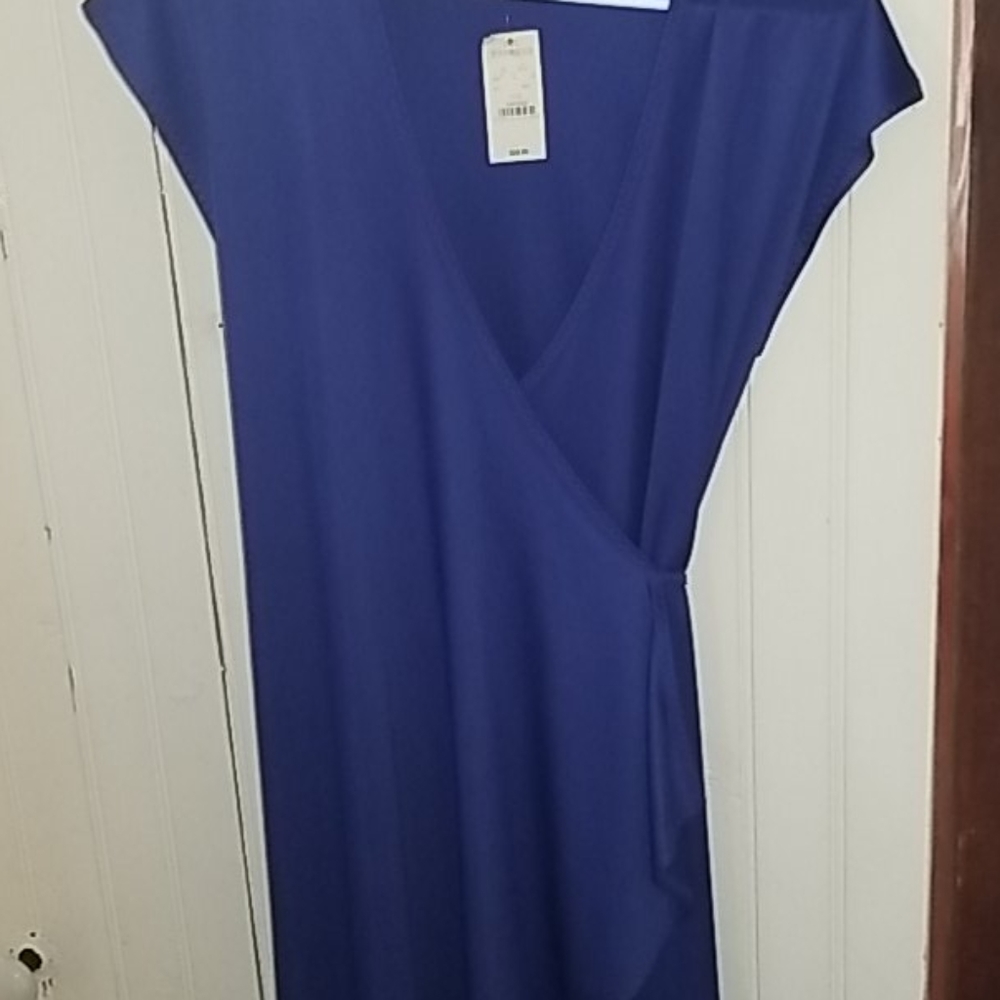 Express silky wrap dress